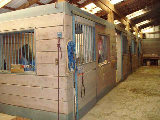 9325 South Thomas Mallen Road Cheney, WA 99004 - Photo 5 of 9