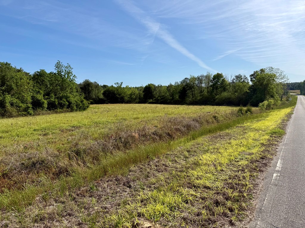 14.57-acres Red Oak Road Florala, AL 36442 - Photo 3 of 14