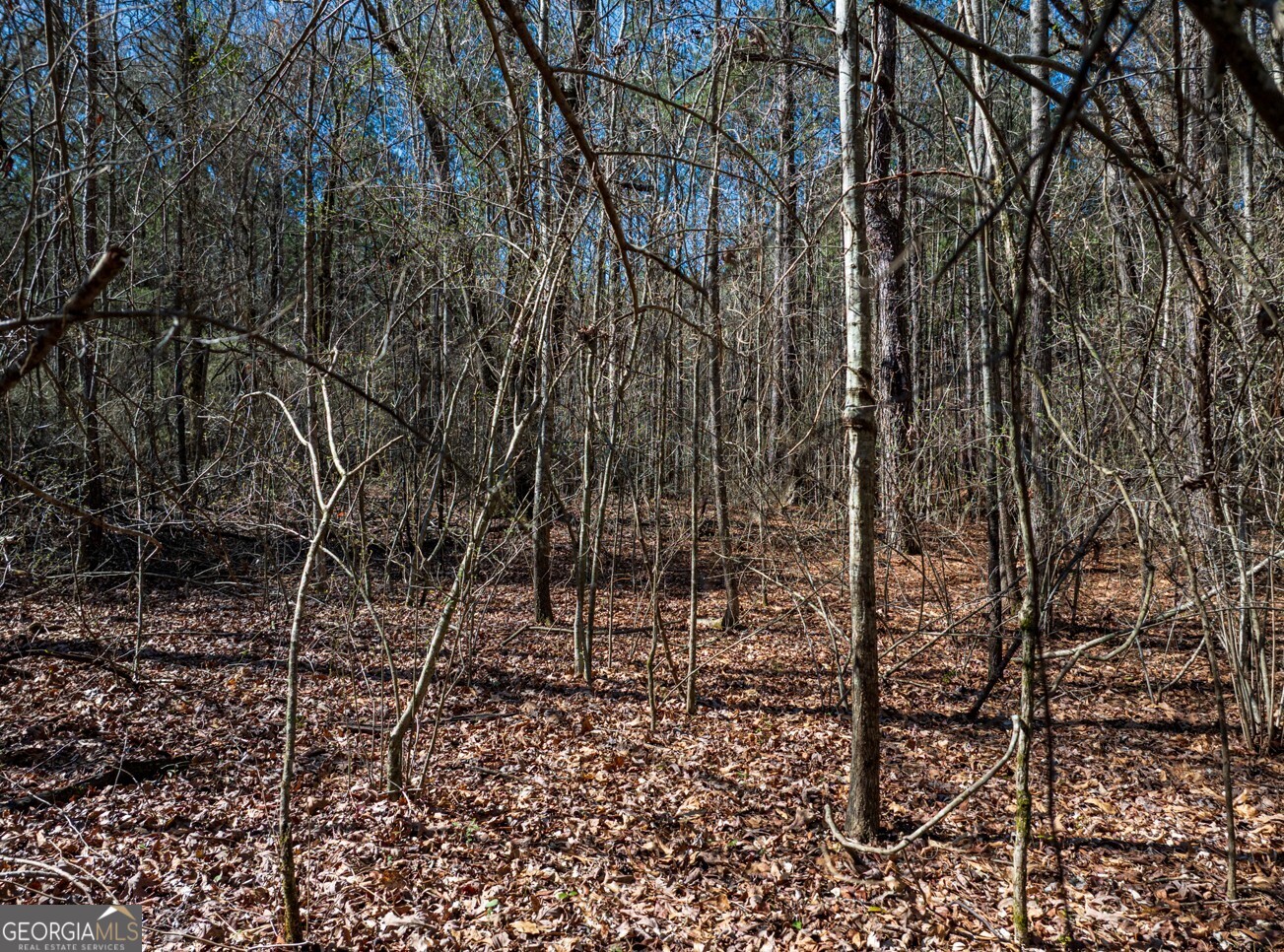 0 Hines Road, Unit TRACT A LaGrange, GA 30241 - Photo 4 of 13 a view of a yard