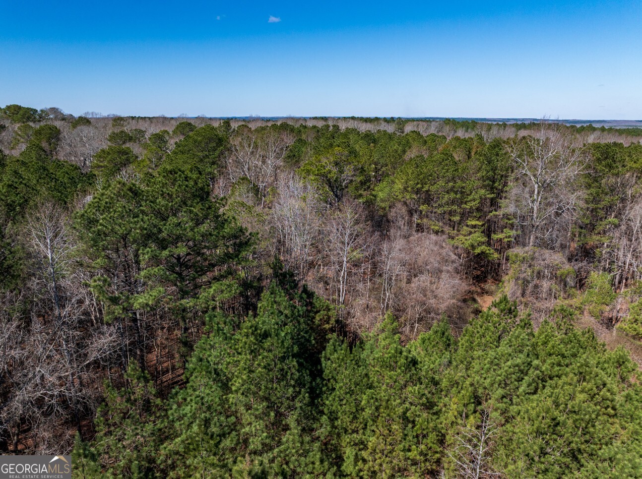 0 Hines Road, Unit TRACT A LaGrange, GA 30241 - Photo 5 of 13 a view of a green field