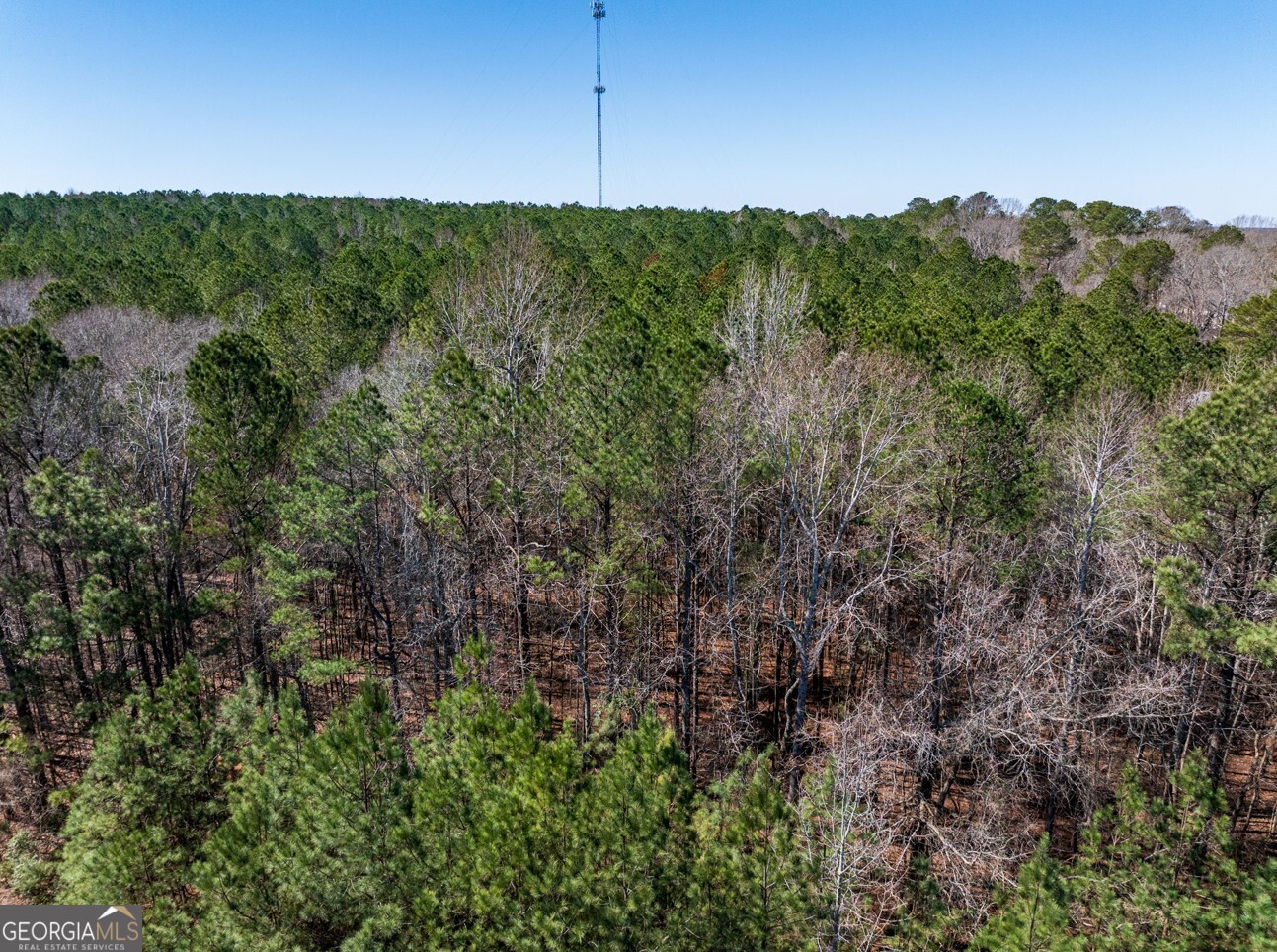 0 Hines Road, Unit TRACT A LaGrange, GA 30241 - Photo 6 of 13 a view of a lush green forest with trees in the background