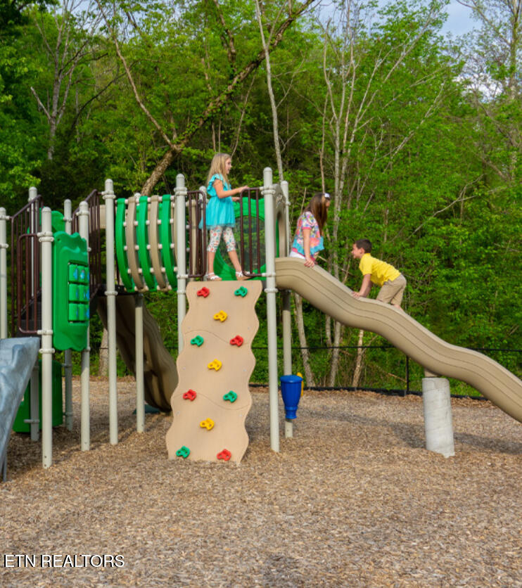 225 Collier Drive Sevierville, TN 37862 - Photo 39 of 47 IMG_3073