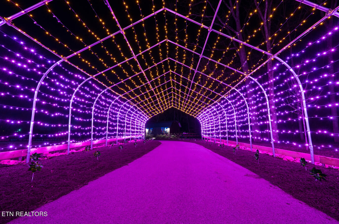 225 Collier Drive Sevierville, TN 37862 - Photo 42 of 47 IMG_3068