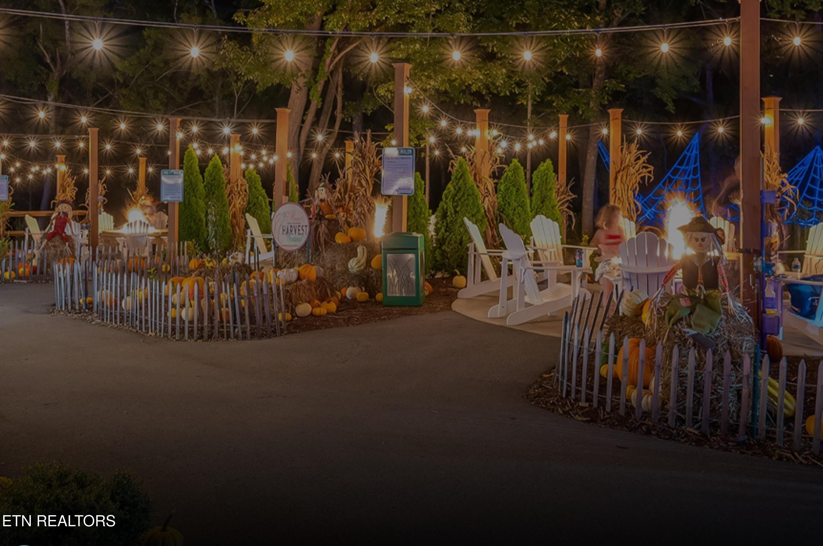 225 Collier Drive Sevierville, TN 37862 - Photo 43 of 47 IMG_3072