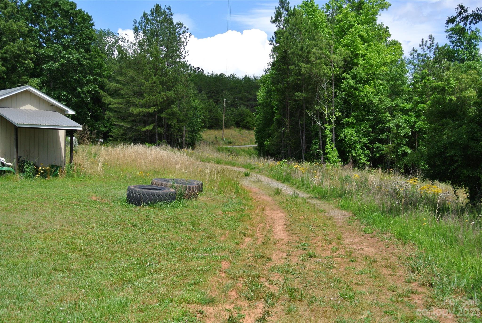 290 Broad River Rutherfordton, NC 28139 - Photo 4 of 11 a backyard of a house with table and chairs