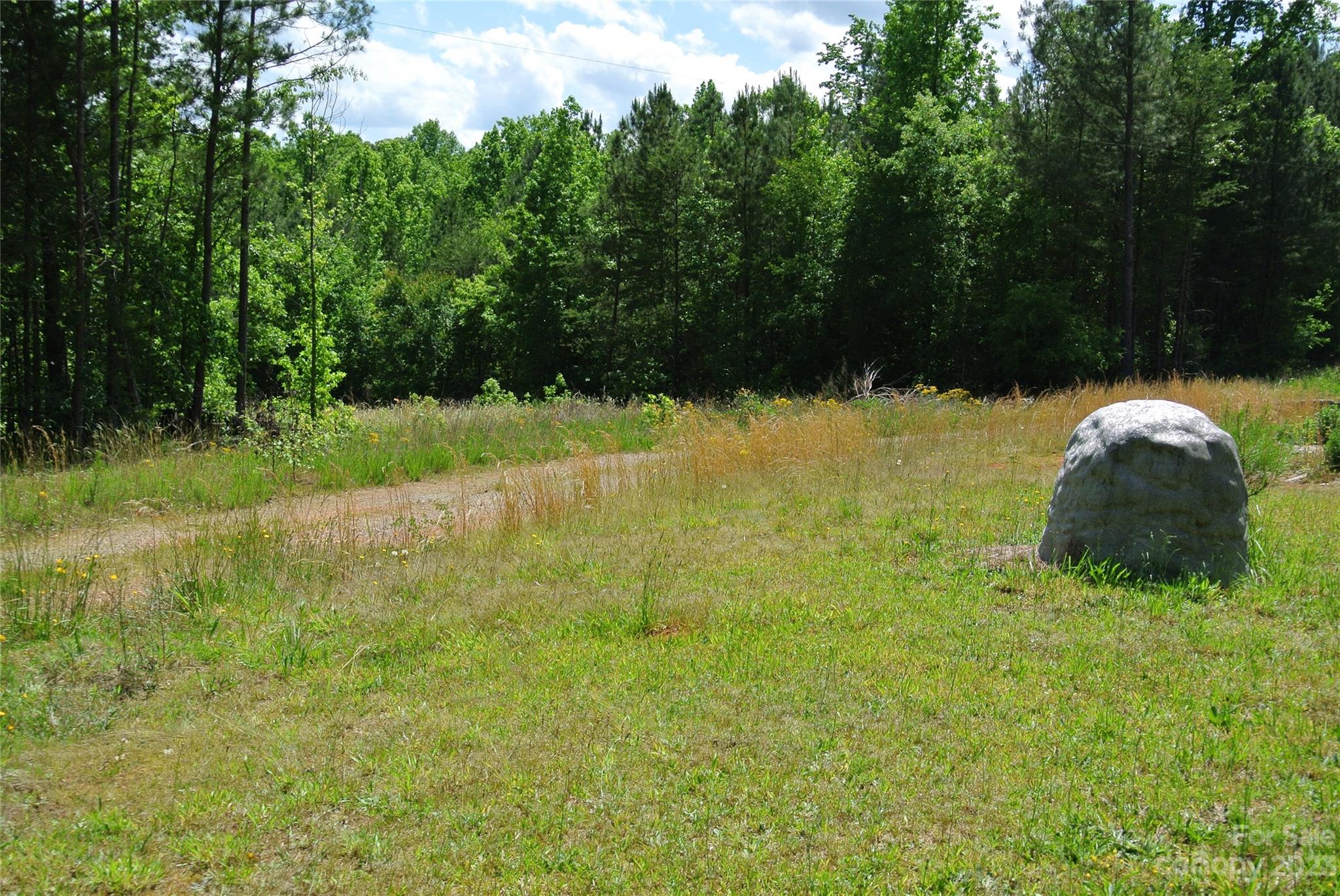 290 Broad River Rutherfordton, NC 28139 - Photo 8 of 11 a fire hydrant in the middle of a field
