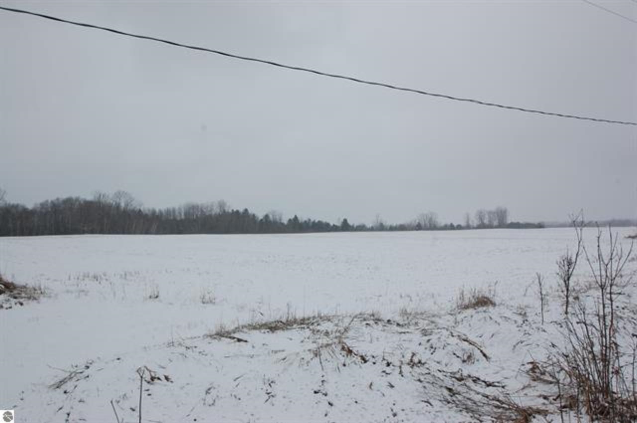 0 Sage Lake Road Hale, MI 48739 - Photo 4 of 5