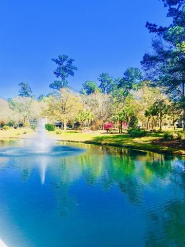 7873 Montview Road North Charleston, SC 29418 - Photo 8 of 35 Beautiful Fountain