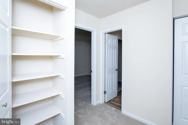 a view of an empty walk in closet
