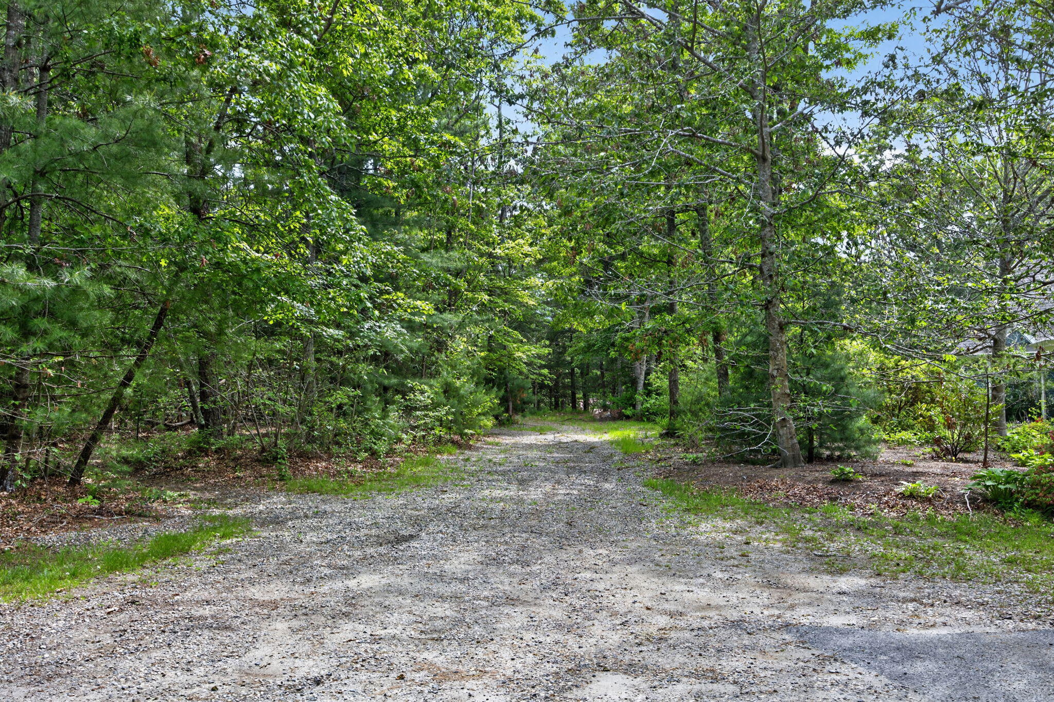 20 Hirsch Road Forestdale, MA 02644 - Photo 11 of 27 End of Hirsch Path to Trails and Pond
