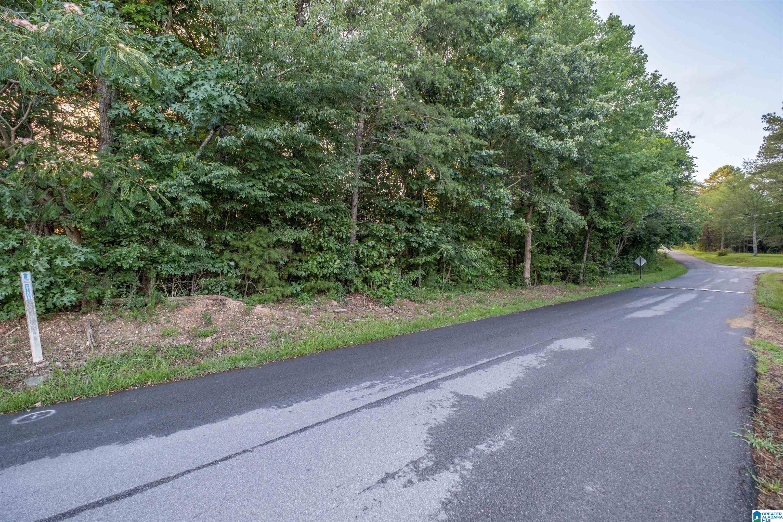 0 Levine Road, Unit X Odenville, AL 35120 - Photo 12 of 16