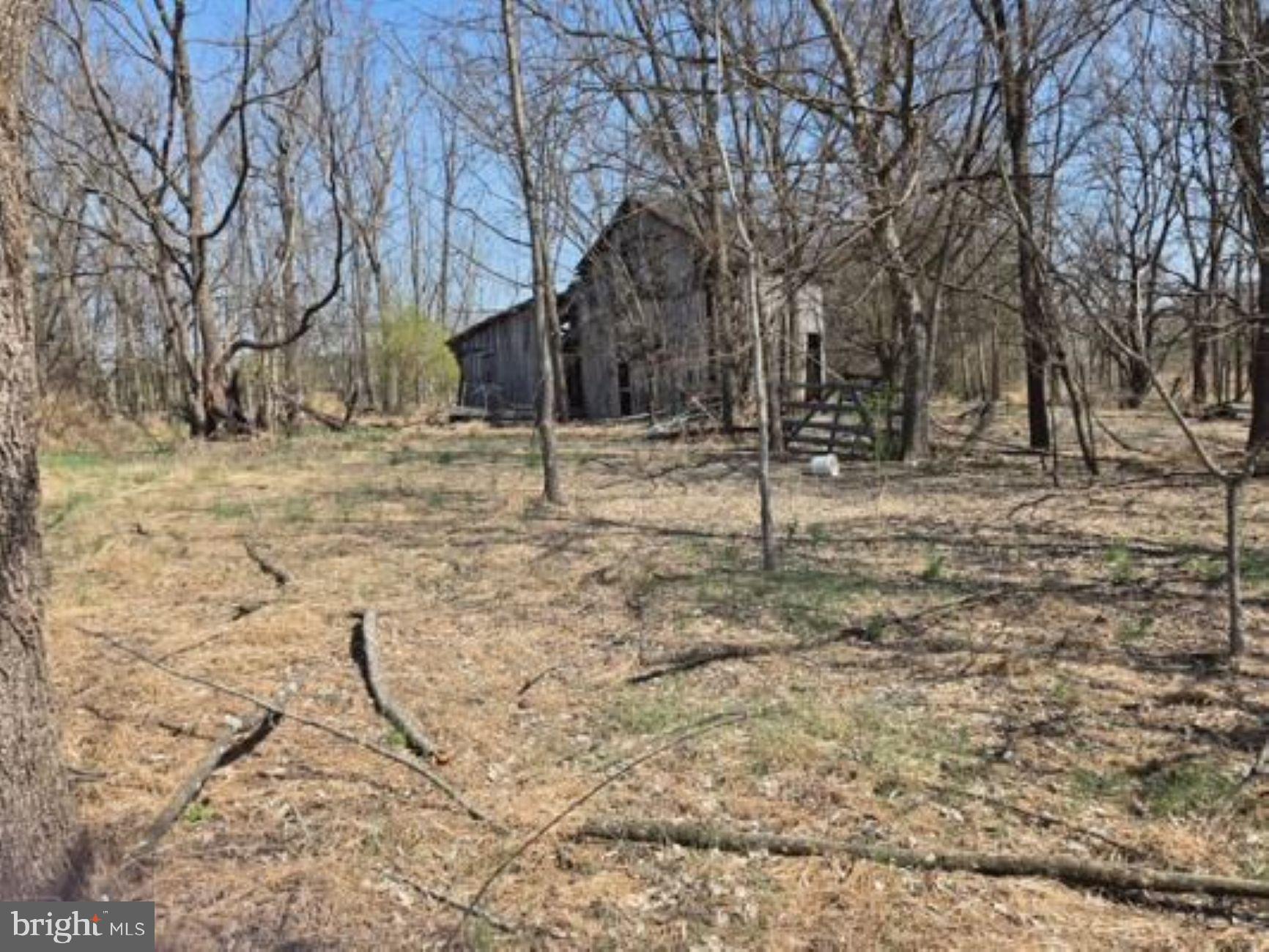 11419 Twin Mountains Road Rapidan, VA 22733 - Photo 6 of 8