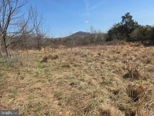 $359,000 | 11419 Twin Mountains Road, Rapidan, VA 22733
