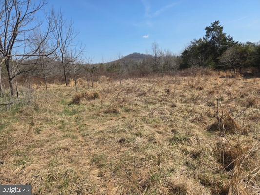 11419 Twin Mountains Road Rapidan, VA 22733 - Photo 7 of 8