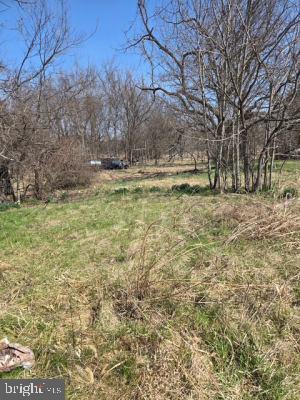 11419 Twin Mountains Road Rapidan, VA 22733 - Photo 8 of 8