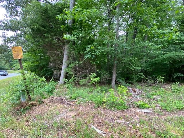0 Red Bud Circle Big Sandy, TN 38221 - Photo 2 of 13 a big yard with lots of green space and plants
