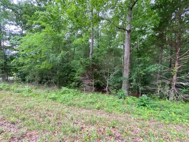a view of outdoor space and green space