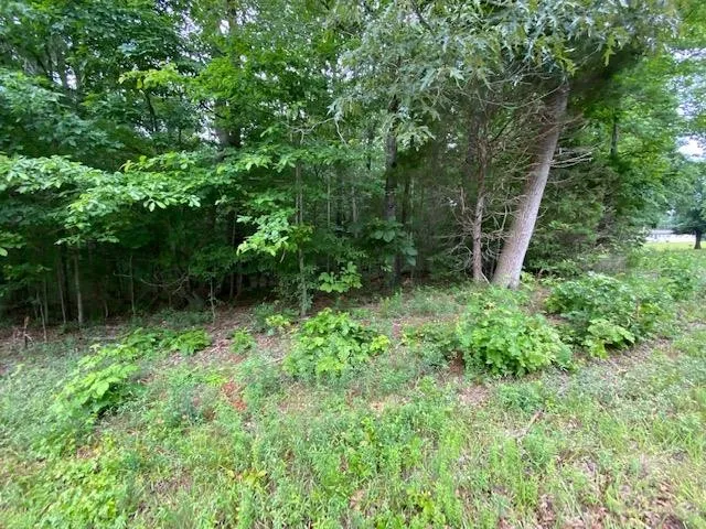 a view of backyard with green space