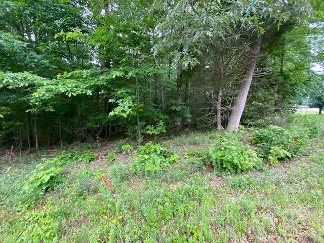 0 Red Bud Circle Big Sandy, TN 38221 - Photo 6 of 13 a view of backyard with green space