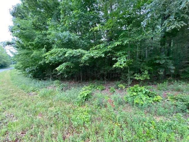 a view of outdoor space and yard
