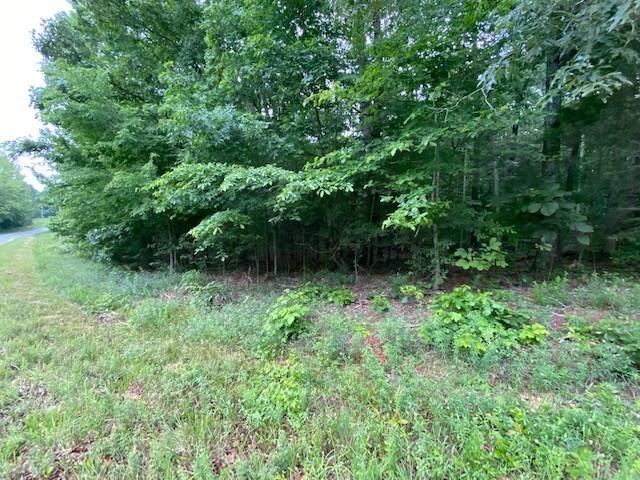 0 Red Bud Circle Big Sandy, TN 38221 - Photo 8 of 13 a view of outdoor space and yard