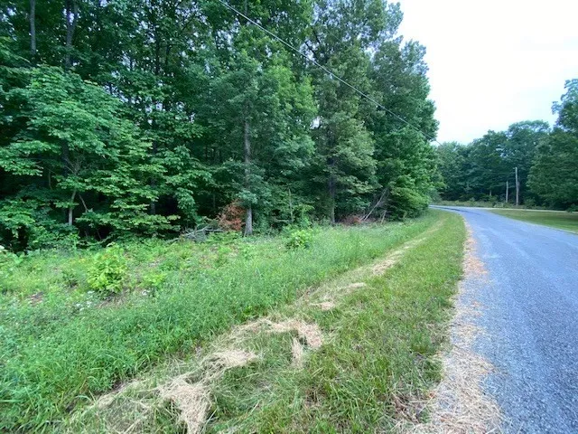 a view of a grassy field with trees in the background