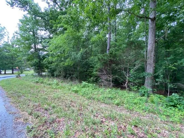 a view of outdoor space and green space