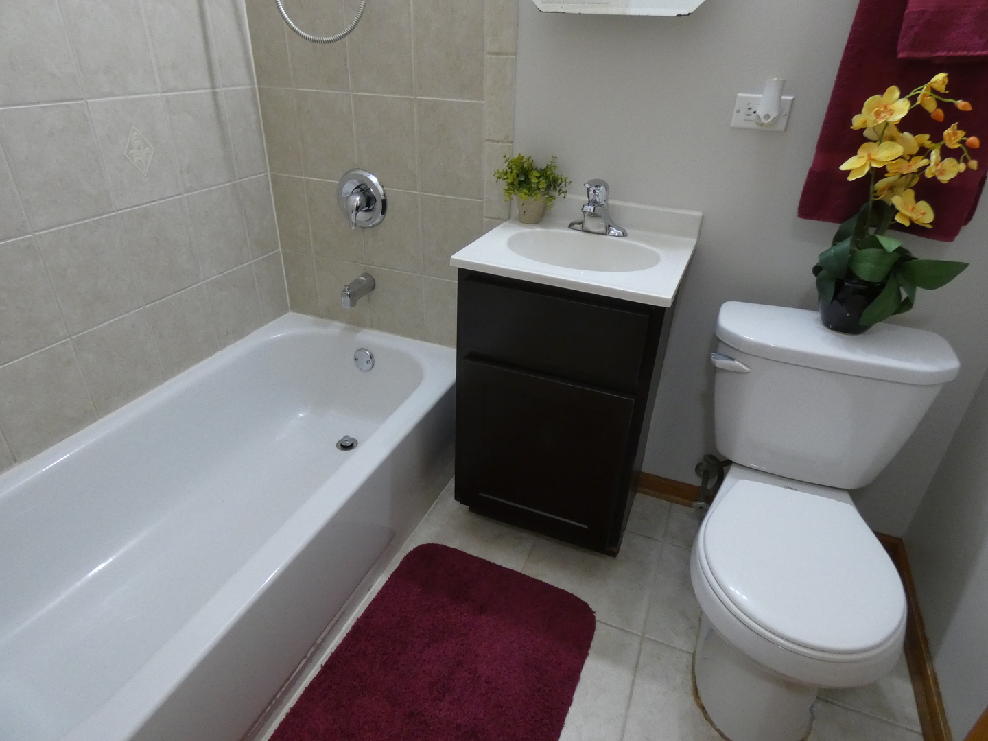 509 West Schaumburg Road Streamwood, IL 60107 - Photo 6 of 15