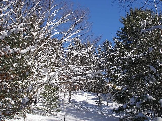 34 Goshawk Ridge Traverse City, MI 49684 - Photo 20 of 21