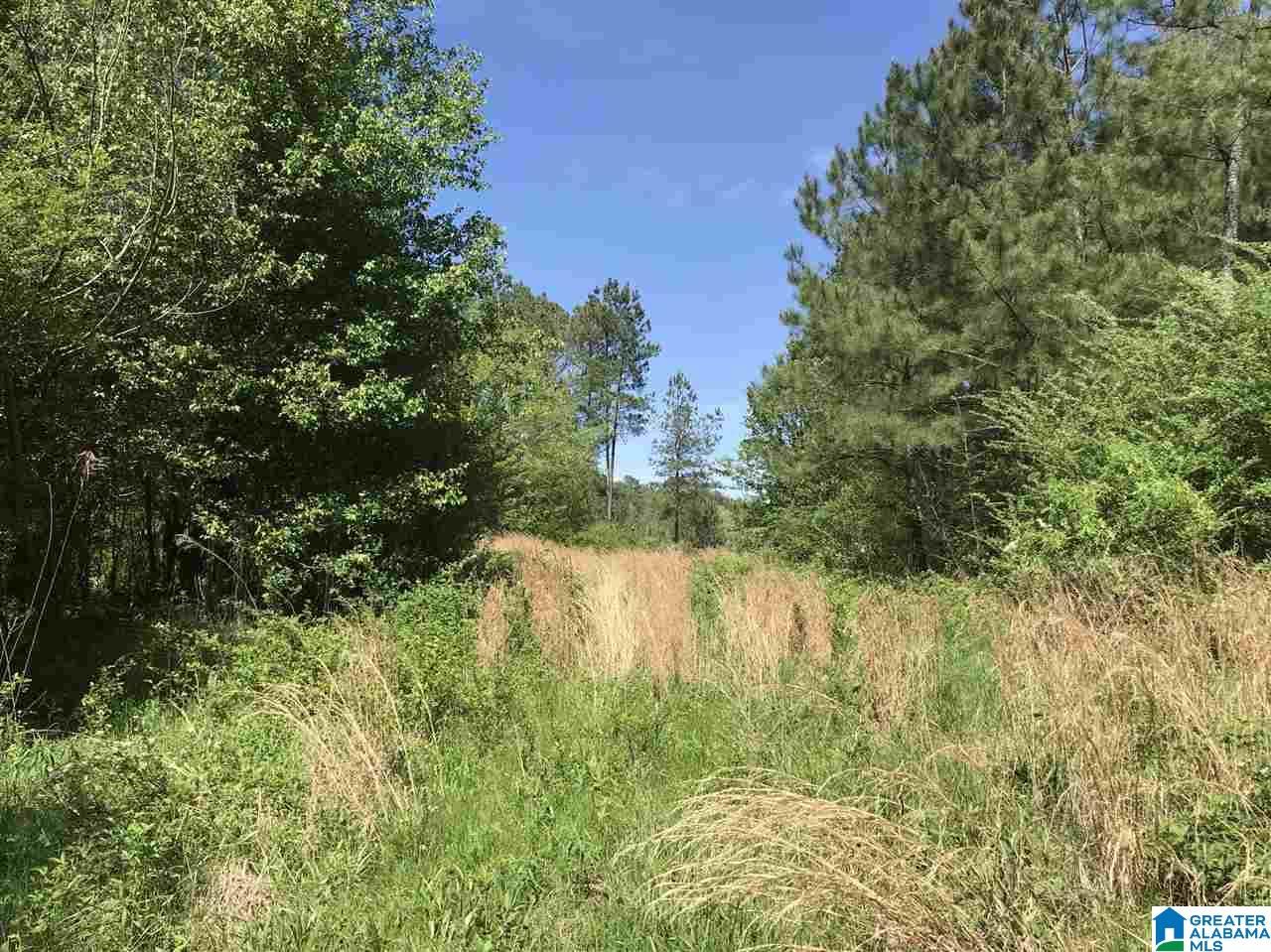 0 Acton Road, Unit 53 ACRE Moody, AL 35004 - Photo 15 of 33 Gallery Image 15