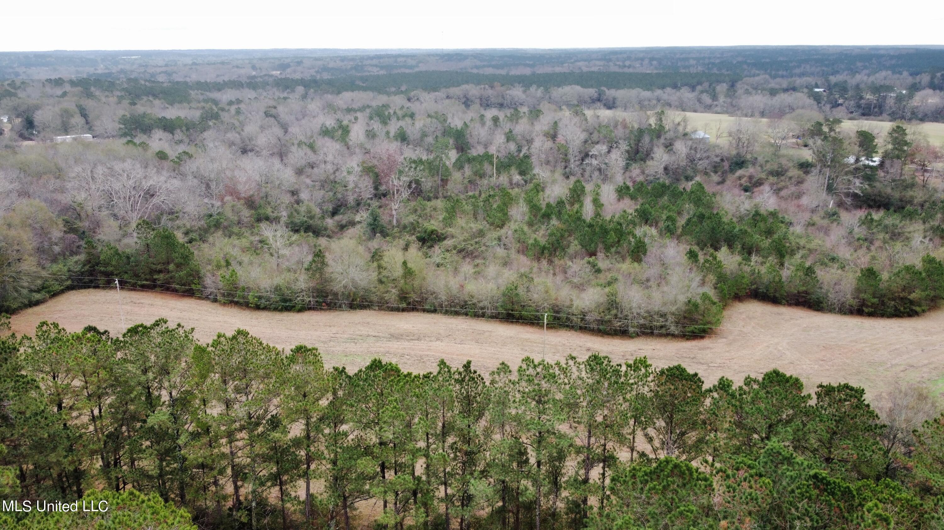 Frank & Ward Mclendon Road Mendenhall, MS 39114 - Photo 2 of 7 View of Land from Rd.