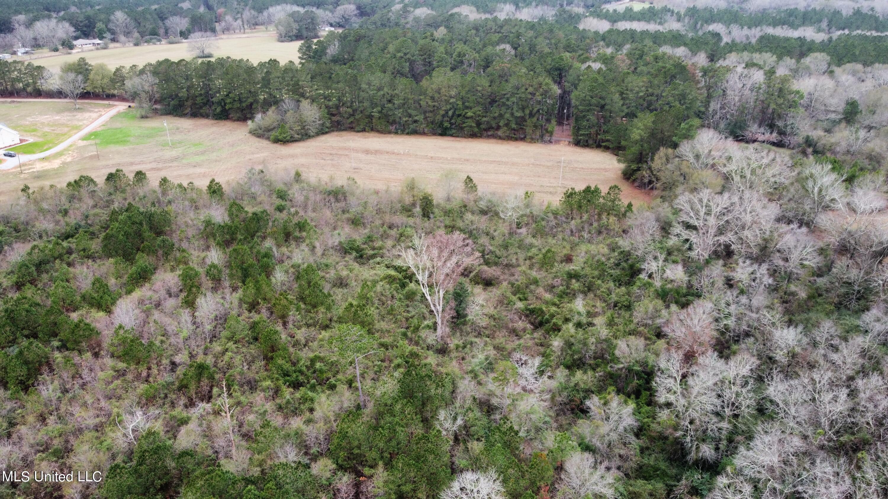 Frank & Ward Mclendon Road Mendenhall, MS 39114 - Photo 3 of 7 View of land/back wooded area