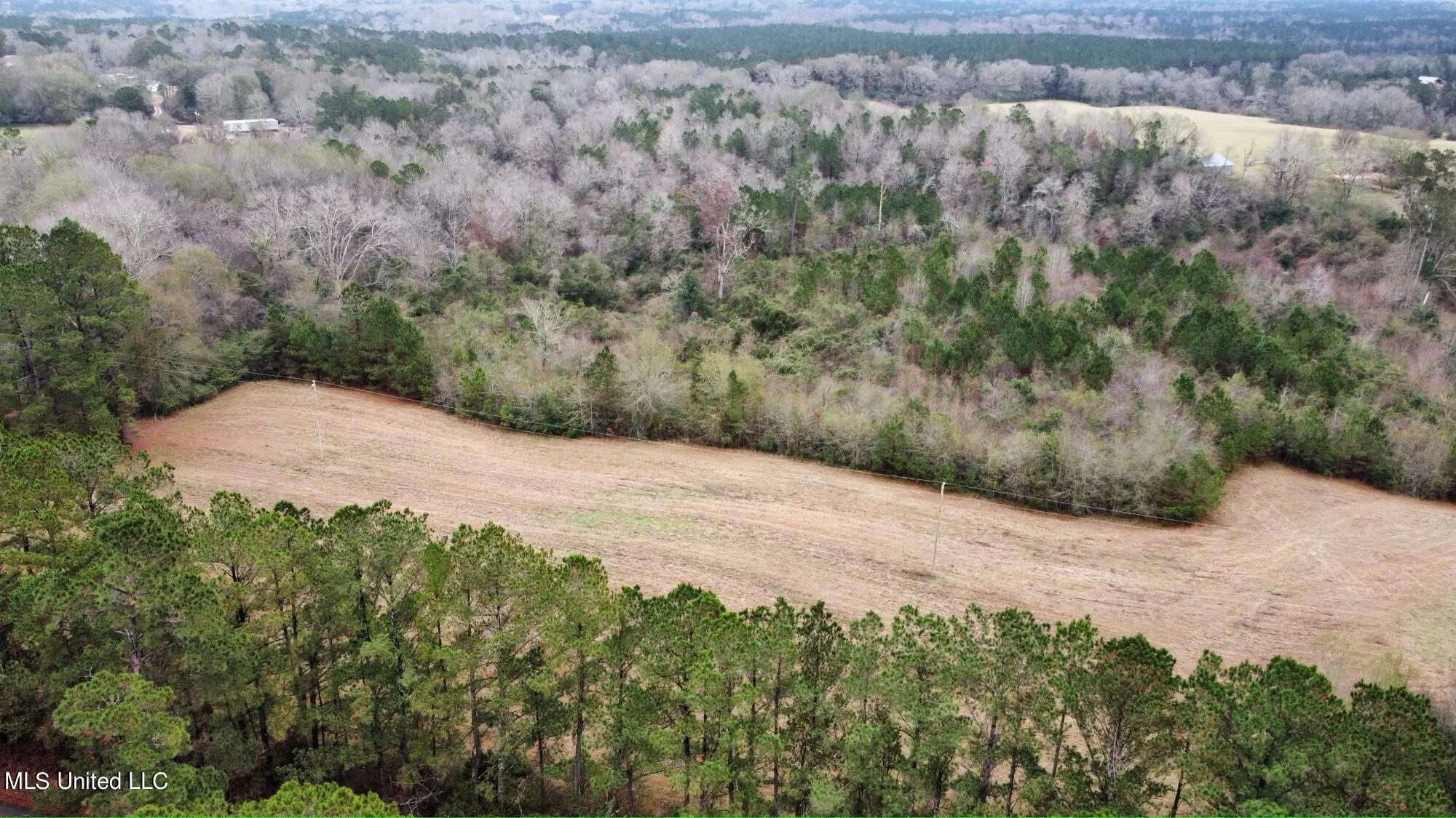 Frank & Ward Mclendon Road Mendenhall, MS 39114 - Photo 4 of 7 View of land