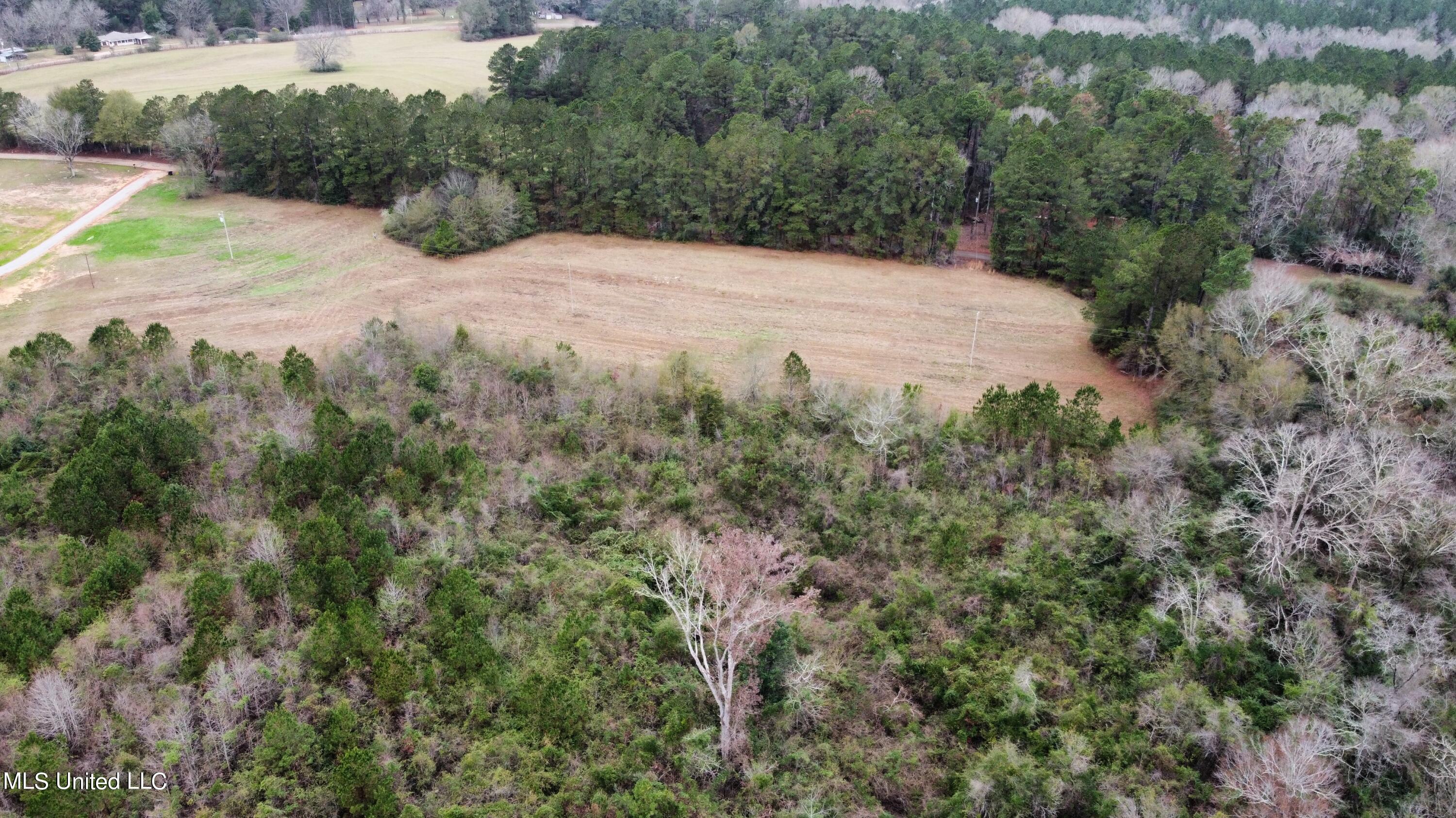 Frank & Ward Mclendon Road Mendenhall, MS 39114 - Photo 5 of 7 View from back of property