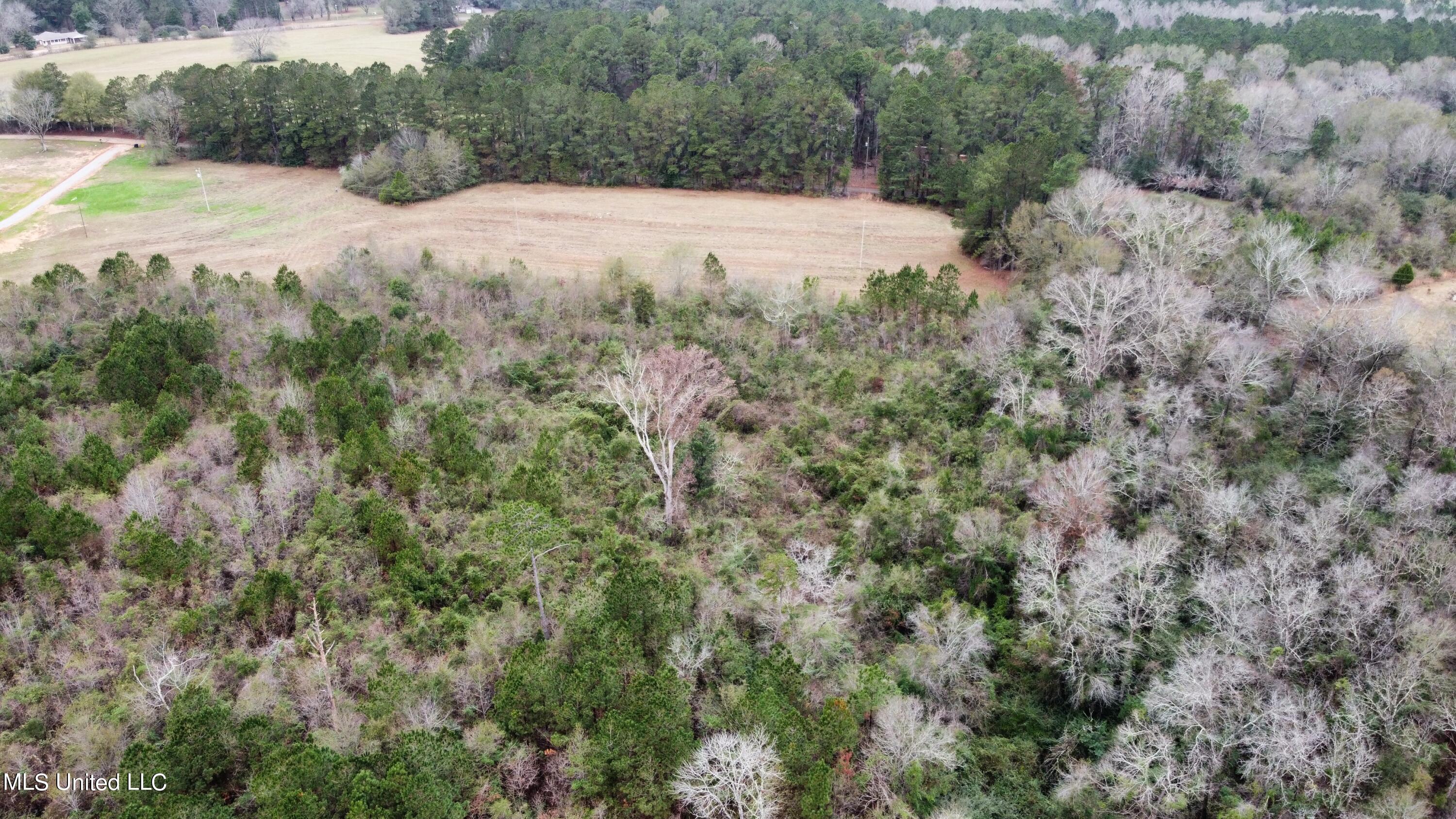 Frank & Ward Mclendon Road Mendenhall, MS 39114 - Photo 6 of 7 View from back of land