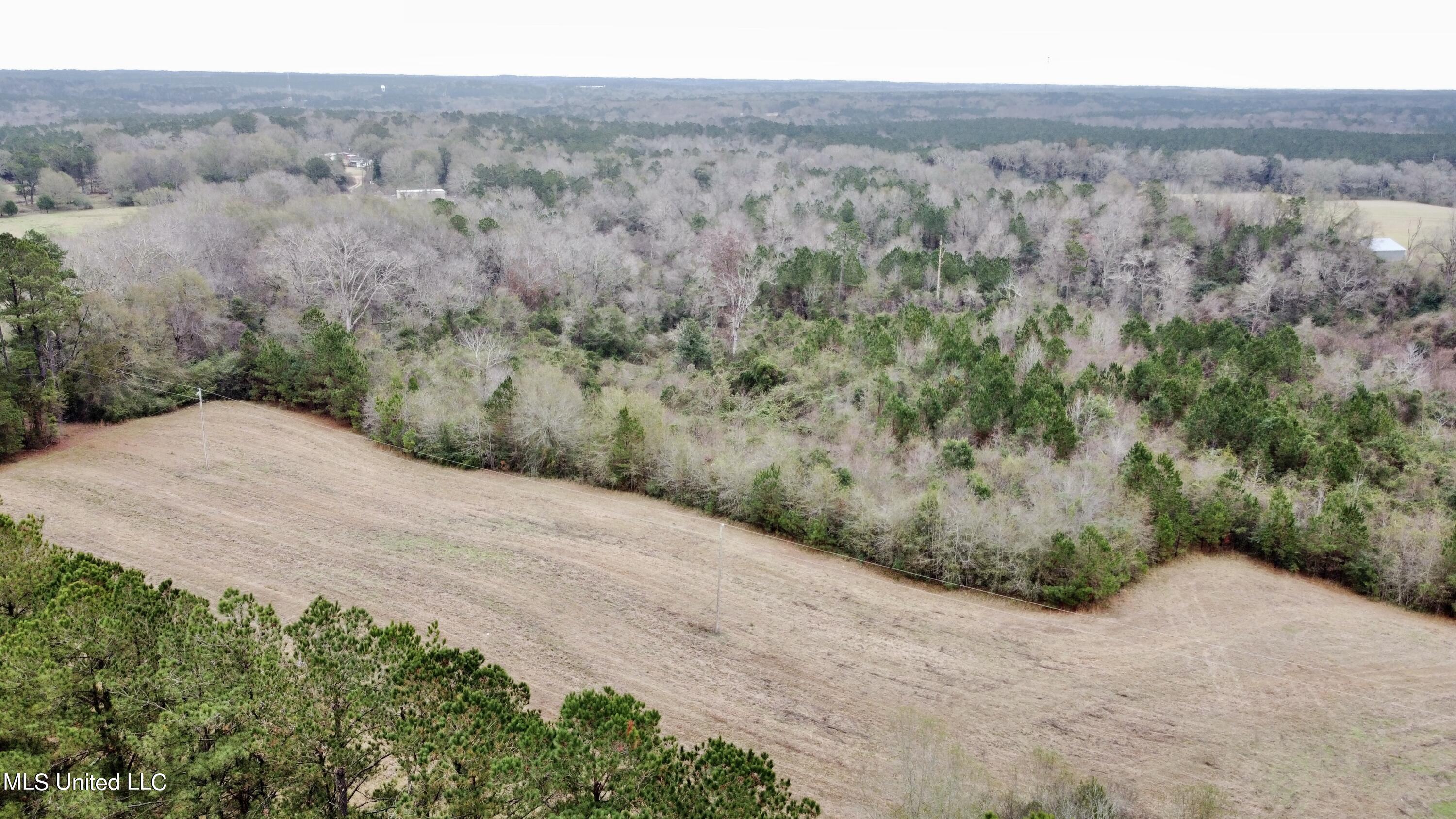 Frank & Ward Mclendon Road Mendenhall, MS 39114 - Photo 7 of 7 Angle