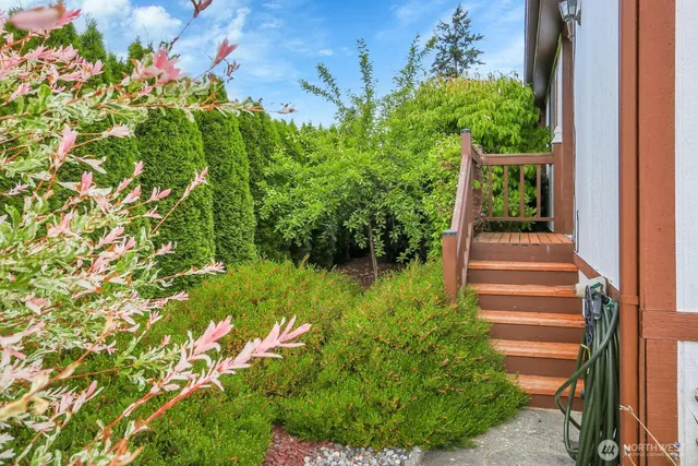 a view of a yard with plants