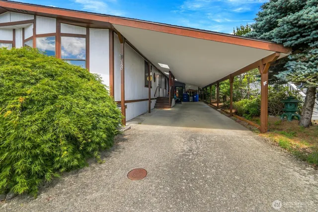 a view of a backyard with plants