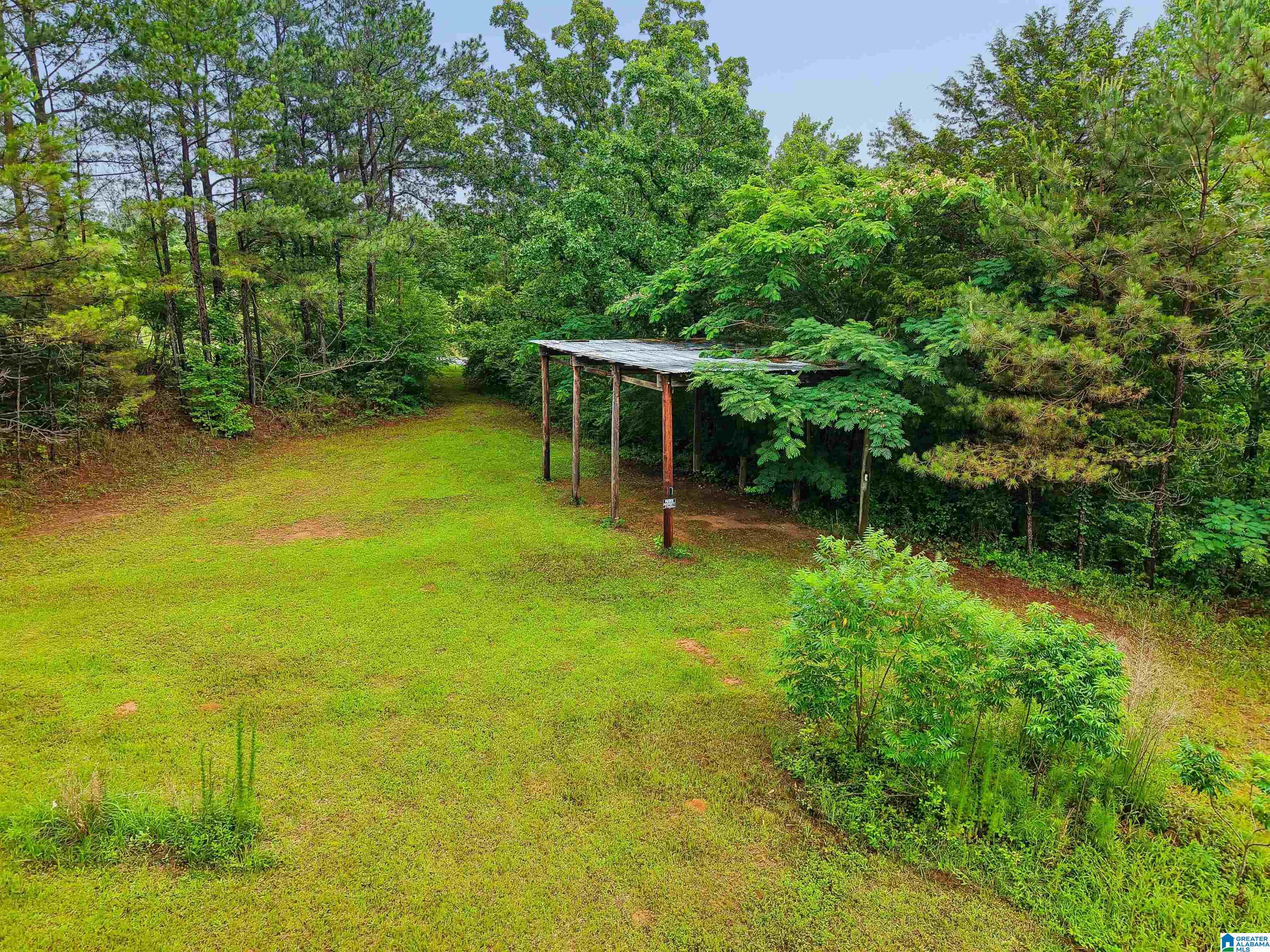 2919 Old Pineywoods Road Jasper, AL 35504 - Photo 21 of 56