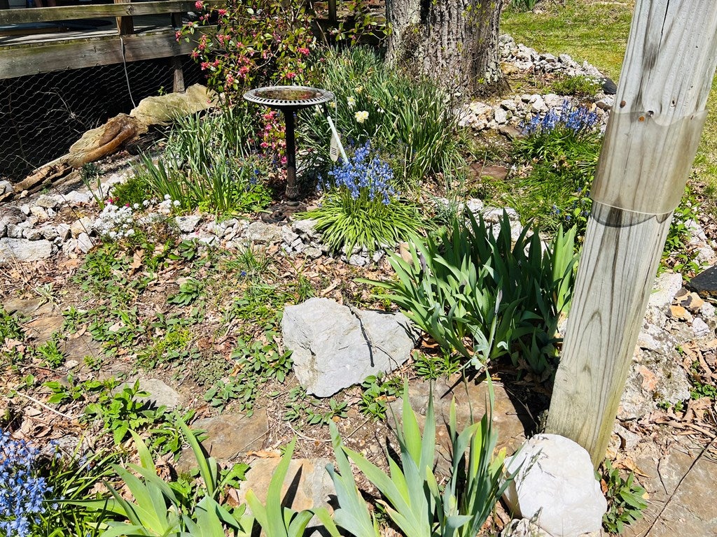 509 Tacoma Road Tazewell, VA 24651 - Photo 26 of 44 Gallery Image 26