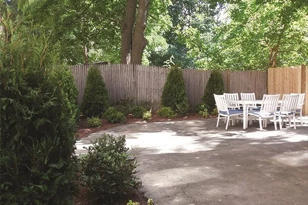 a view of backyard with table and chairs and a large tree