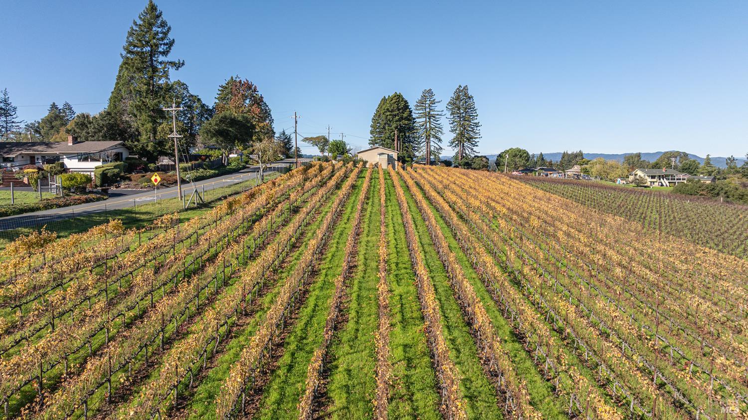 1365 Grandview Road Sebastopol, CA 95472 - Photo 73 of 74