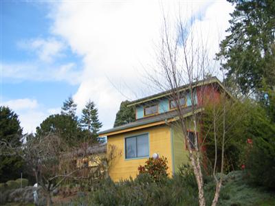 8380 Germone Road Sebastopol, CA 95472 - Photo 1 of 11 a front view of a house with plants and trees