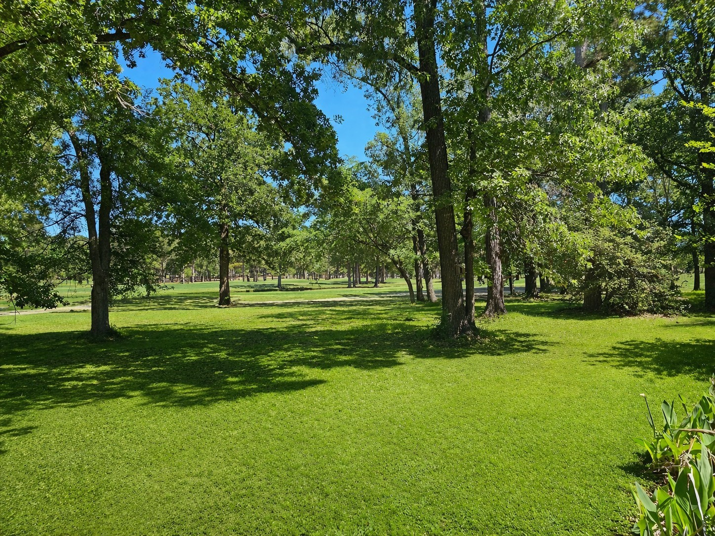 17 Presidio Road Montgomery, TX 77356 - Photo 32 of 36
