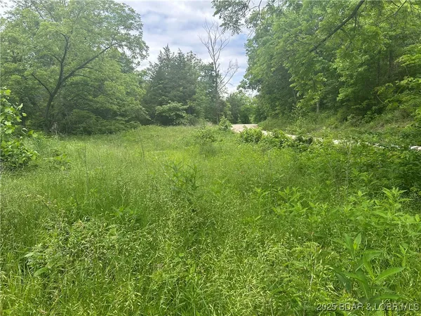 $99,000 | Kolb Hollow Road, Climax Springs, MO 65324