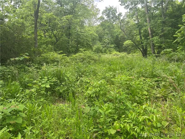 $99,000 | Kolb Hollow Road, Climax Springs, MO 65324
