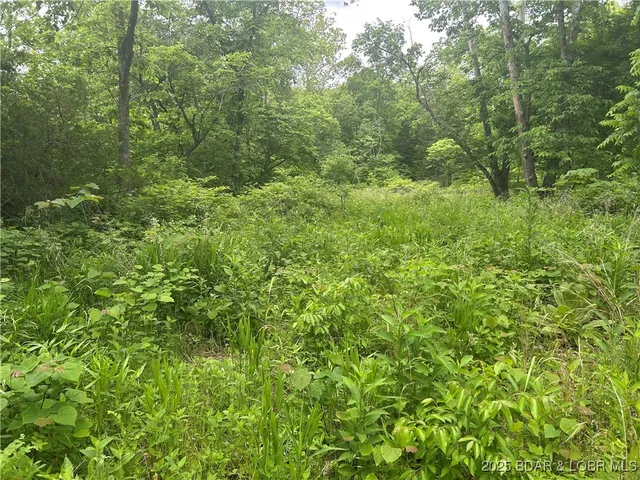 $99,000 | Kolb Hollow Road, Climax Springs, MO 65324