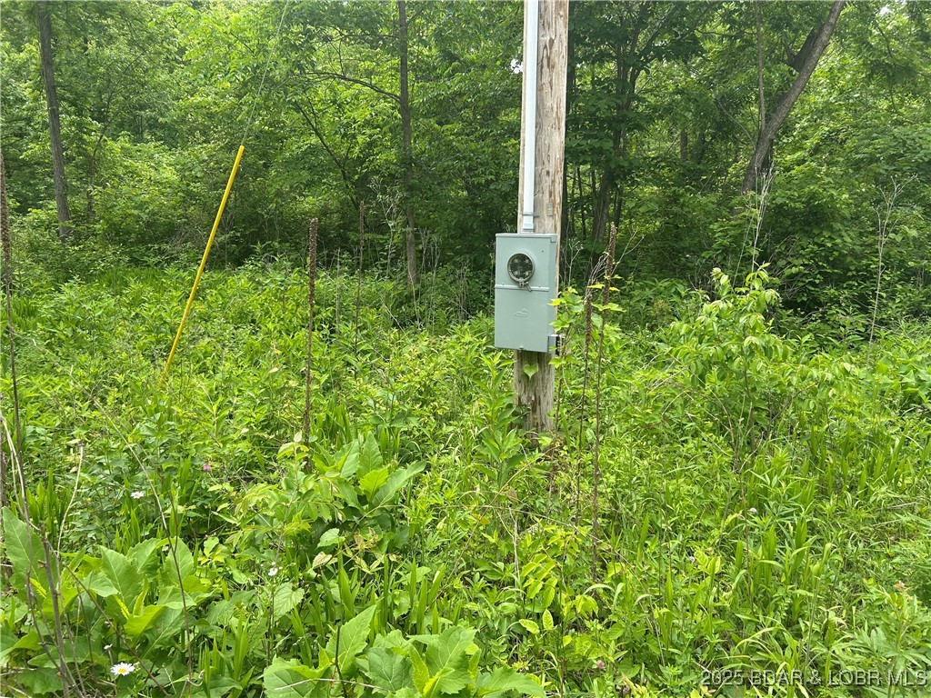 Kolb Hollow Road Climax Springs, MO 65324 - Photo 6 of 9