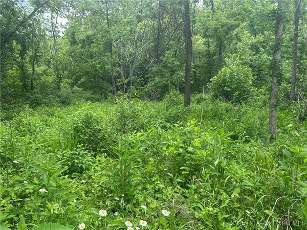 $99,000 | Kolb Hollow Road, Climax Springs, MO 65324