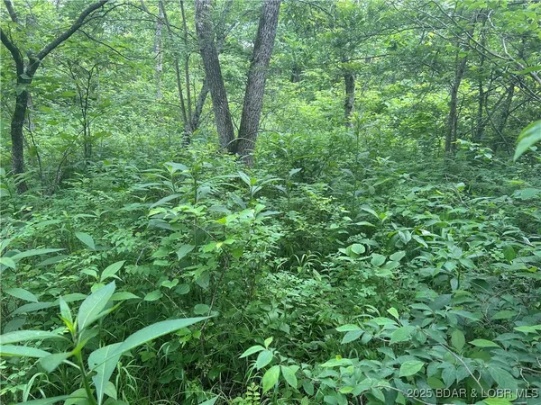 $99,000 | Kolb Hollow Road, Climax Springs, MO 65324